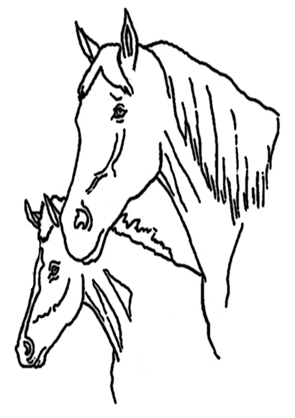 Pferde-2