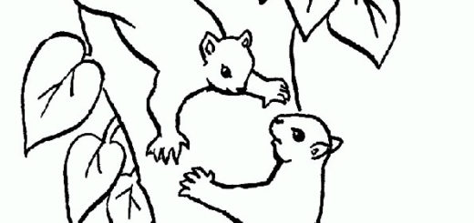 ausmalbilder beste eichhörnchen-5